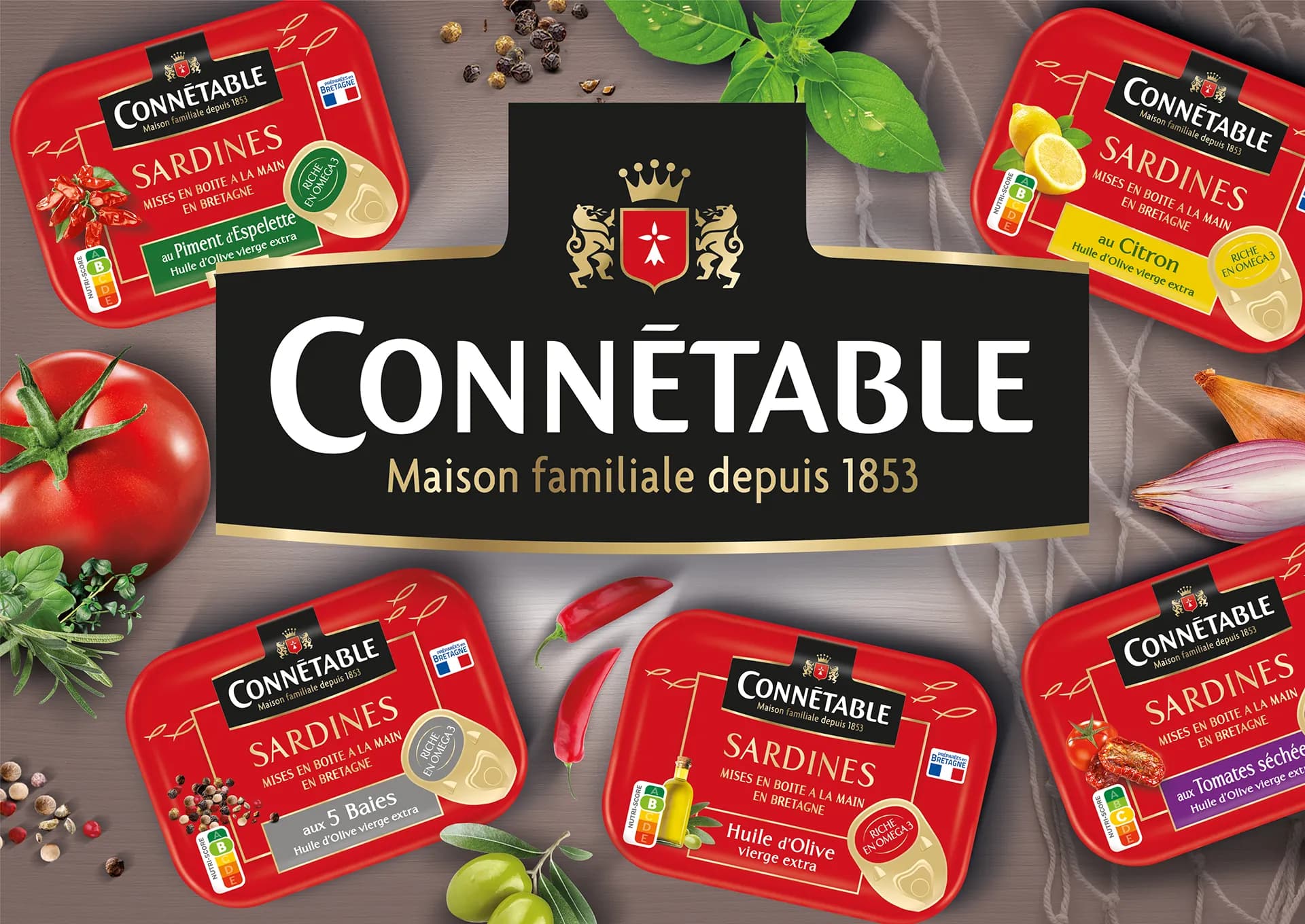 Visuel du logo Connetable