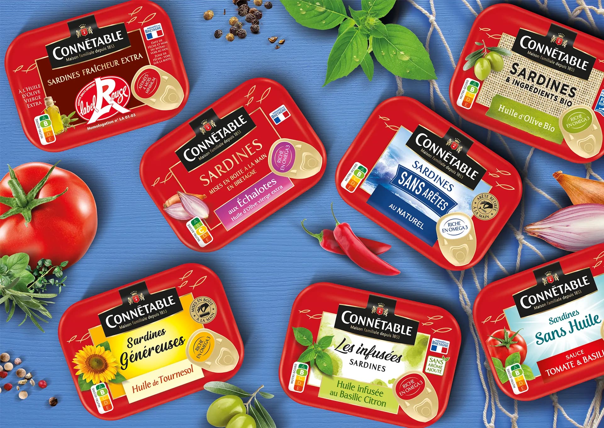 Visuel de la gamme Connetable